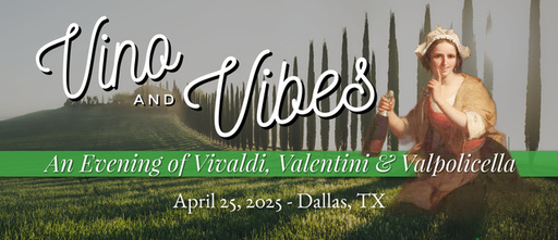 Vino & Vibes 2500x1080 banner website copy 2.jpg